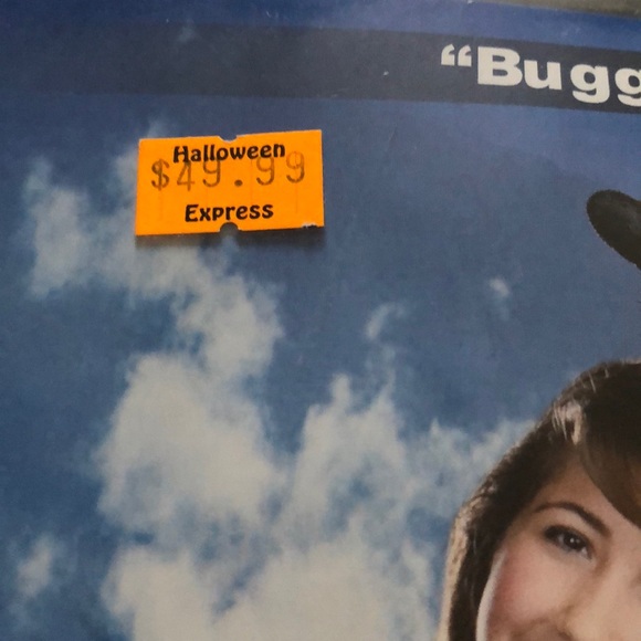 2 for $10 Reversible Ladybug 🐞 & Bee 🐝 Costume - Picture 7 of 7